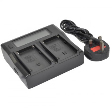 Replace Charger AC Dual LCD for DMW-BLF19 Battery UK